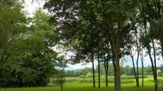 Watch Piet Veerman Green Green Grass Of Home video