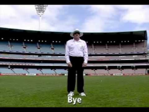 Cricket Umpire Signals - YouTube