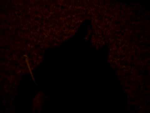 My Cute Cat Stormy Video 1