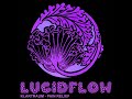 Lucidflow LF008 - Klartraum - Pain Relief - Ocean
