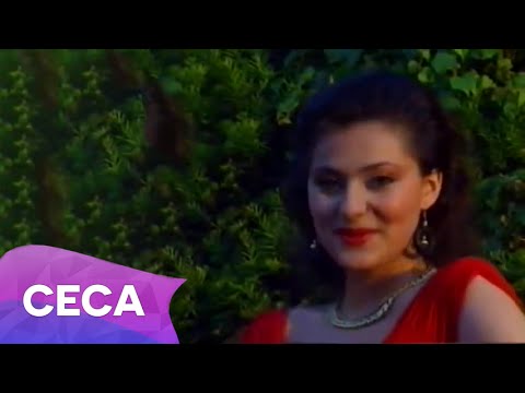 Mokra Trava Video