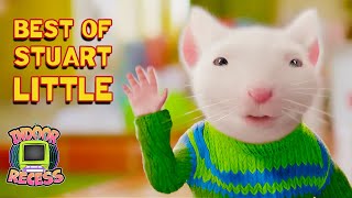 Big World, Little Mouse Best Moments From Stuart Little 1 & 2 Indoor Recess