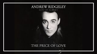 Watch Andrew Ridgeley The Price Of Love video