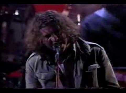 Pearl Jam - Animal