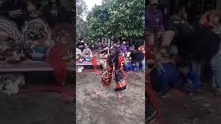Ratu Celeng Srenggi Jaranan Rimba Raya Budaya