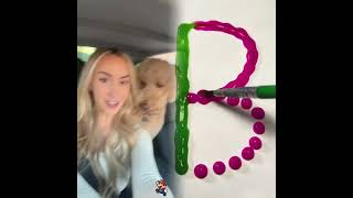 An Adventure A Day Keeps The Dogter Away