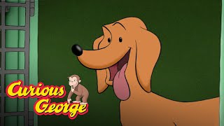 Free Hundley 🐵 Curious George 🐵Kids Cartoon 🐵 Kids Movies 🐵Videos for Kids