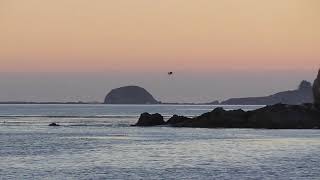 Pirates Cove Beach, Sant Luis Obispo, California