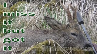 Chasing Bucks with Carlos, scotland 19-23April/2018