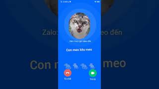 Con Mèo Kêu Meo
