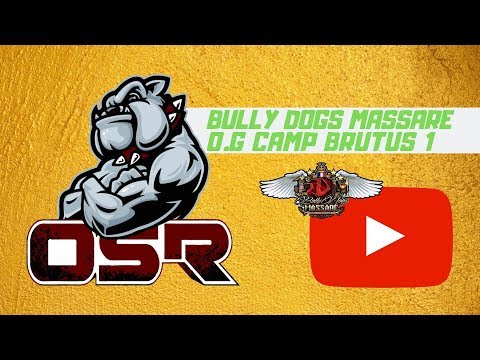 BDM - O.G.C BRUTUS - by OSR n1