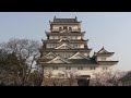広島県　福山城の桜