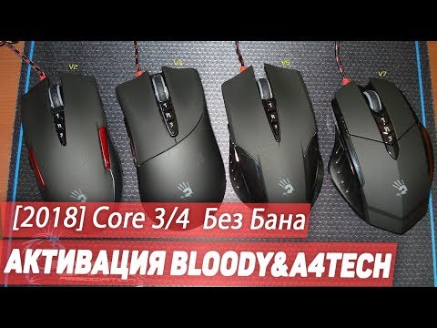 Как активировать мышь bloody все Как активировать мышь bloody все