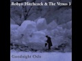 Robyn Hitchcock & The Venus 3 - Hurry for the Sky