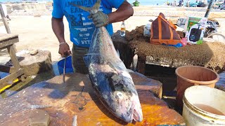 Huge Trevally Fish Cutting Skills By Mr.Ravi