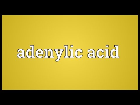 Header of Adenylic acid
