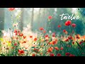 12 Hours of Relaxing Music - Piano Music for Stress Relief, Sleep Music, Meditation Music (Riley)