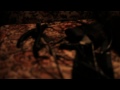 In Venere Veritas Video preview