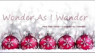 Watch New York Voices I Wonder As I Wander video
