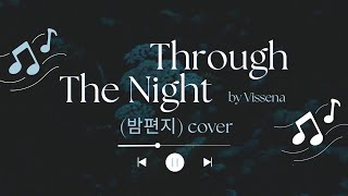 Through The Night 밤편지 Cover By Vissena