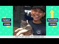 TRY NOT TO LAUGH - Funny Viral Videos From Around The Internet!