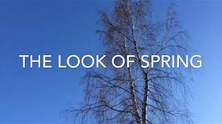 Photographic journey - The look of Spring in Sweden