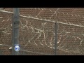 Inmate tries to escape OCCC by scaling razor wire fence