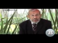 ¿México es un estado fallido? ¿México es un estado fallido?