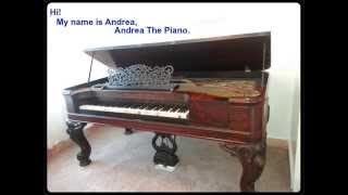 I Am Andrea The Piano I Am Andrea The Piano