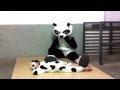 The Sneezing Baby Panda
