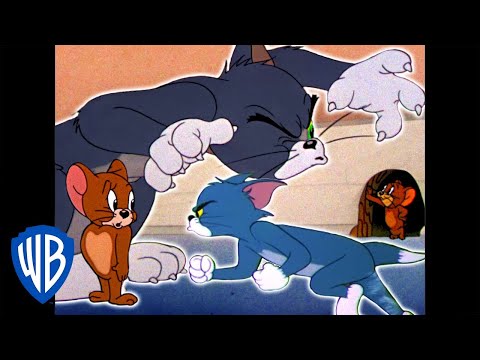 Tom y Jerry en Español Latino America | ¡Cuántas persecuciones! | WB Kids