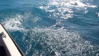 Visiting Shipwreck Off South Coast Of Bermuda