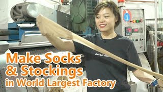 How Pantyhose & Socks Are made? Visit World Largest Sock Factory