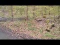 Mountainbiker machen bekanntlich den Wald kaputt!
