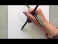 colorier un dessin avec des crayons de couleur