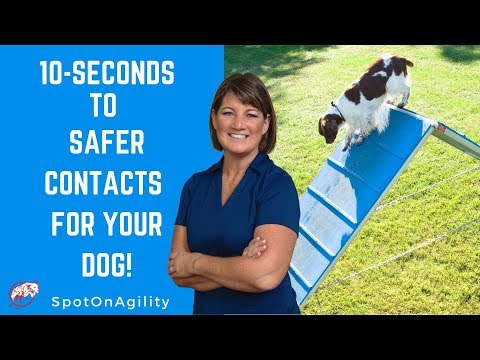 Agility Equipment For Dogs (10 Seconds to Safer Contacts for YOUR Dog!)