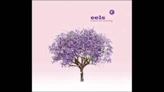 Watch Eels The Morning video