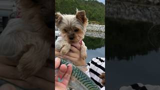 Ruby Caught A Fish
