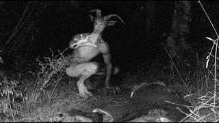 Top 10 Mysterious Creatures by sri tv