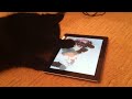 One eyed cat plays catch the mouse on ipad!