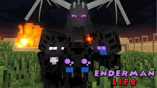 Monster School True Story| Enderman & ZombiePigman's Life |Minecraft Animation