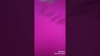 Tiktok Videosu 2 Tuanna Olgun
