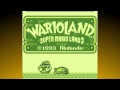 WARIO LAND - Super Retro Bros. #5 Ft. Davis from The Warp Zone