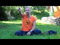 Ишвара йога. Анатолий Зенченко. О Вилома-пранаяме Ишвара йога. Анатолий Зенченко. О Вилома-пранаяме