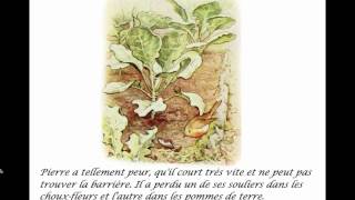 Pierre Lapin