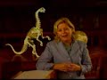 Carbon dating doesn't work -- debunked