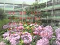 県立神戸北高校 校歌