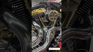 Gostosa Rebolando Harley Projects