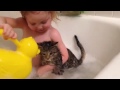 A young girl pulls a cat into a bath tub and bathes it