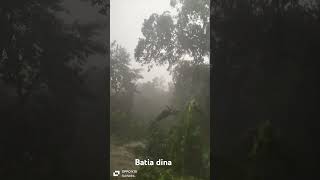 Batia Dina